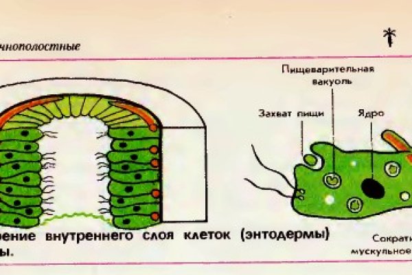 Ссылки зеркала на kraken