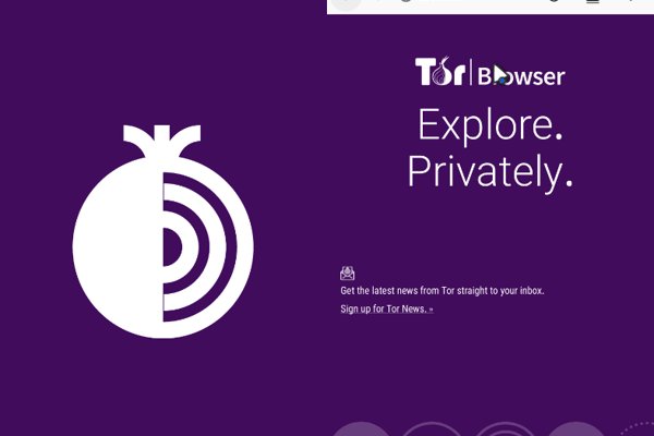 Kraken маркетплейс официальный