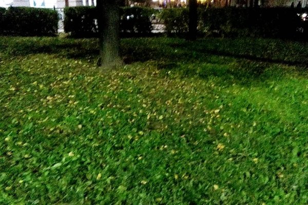 Какая ссылка на кракен