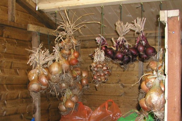 Где найти рабочую ссылку кракен
