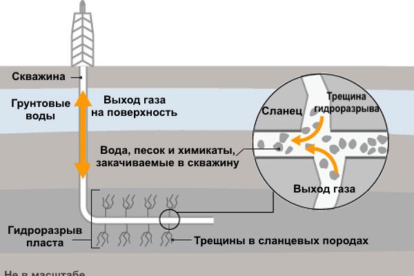 Почему кракен